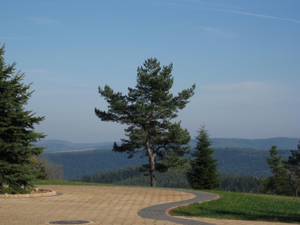Pensjonat Orle Krynica Zdroj Ngoại thất bức ảnh